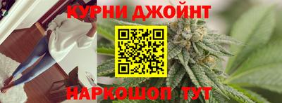 стафф Донской